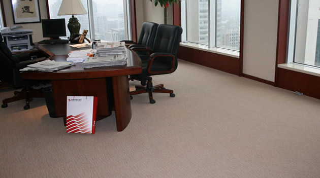 圈绒地毯静面办公室效果图